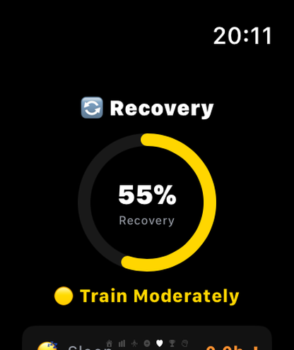 REVIVE Watch recovery